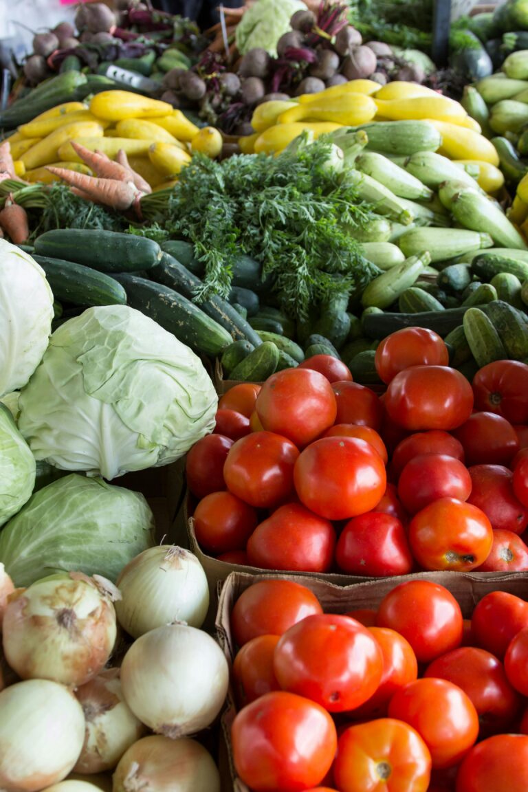 Tomates au potager : démarrer sans se rater quand on débute