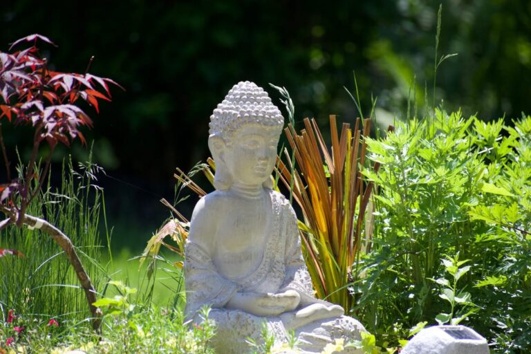 Comment aménager un jardin feng shui chez soi ?