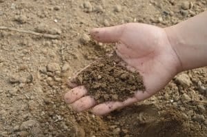 Les erreurs à éviter dans un jardin écologique