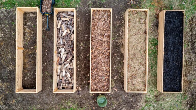 Compostage automnal à Angers : 5 techniques pour un potager productif