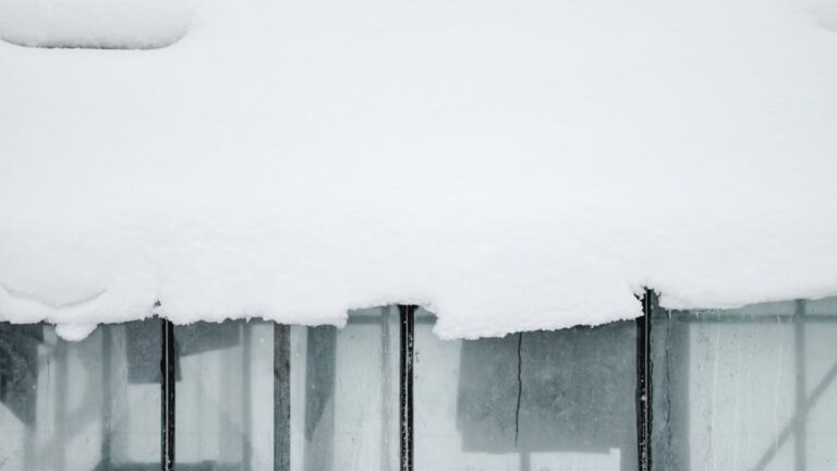 Créer un jardin d'hiver : aménagement et entretien saisonnier