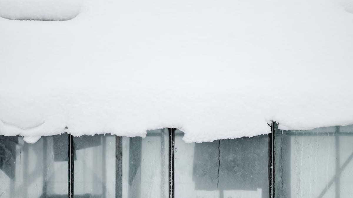 Créer un jardin d'hiver : aménagement et entretien saisonnier
