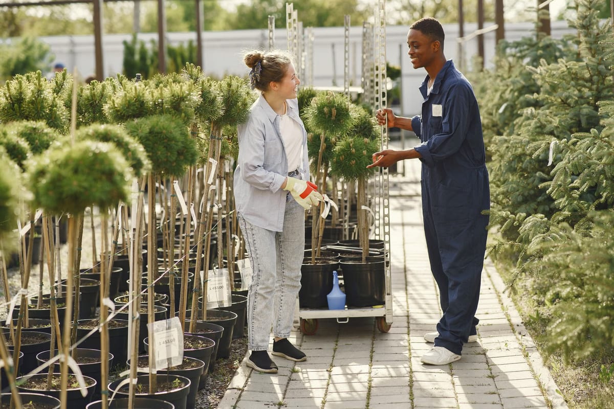 Comment démarrer une entreprise d'aménagement paysager: 4 conseils de pro pour réussir