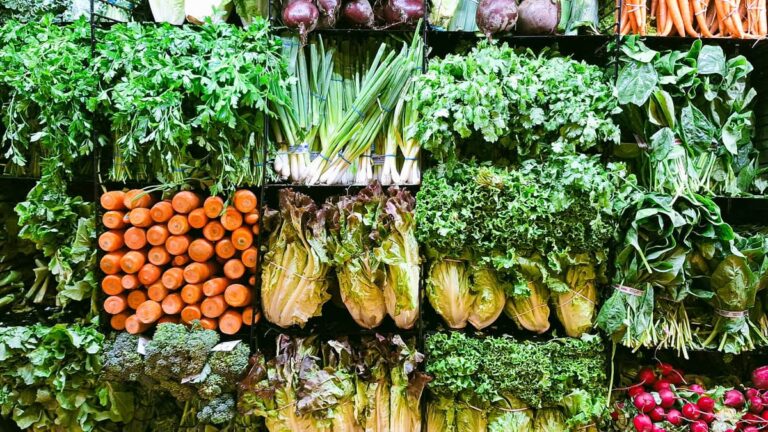 Légumes d'hiver Maine-et-Loire : les variétés à cultiver