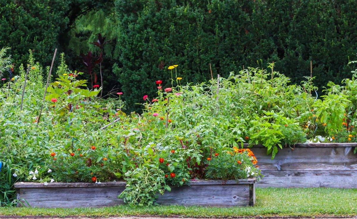 Top 10 Meilleur Carré Potager 2026