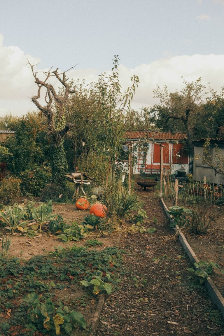 Préparer un long voyage sans sacrifier son jardin : le casse-tête angevin